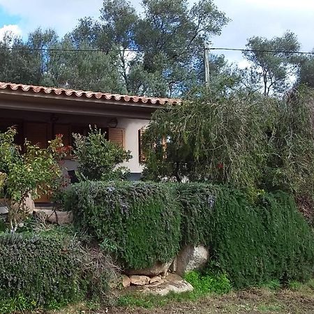 Casa-Lesia Vila Porto-Vecchio  Exterior foto